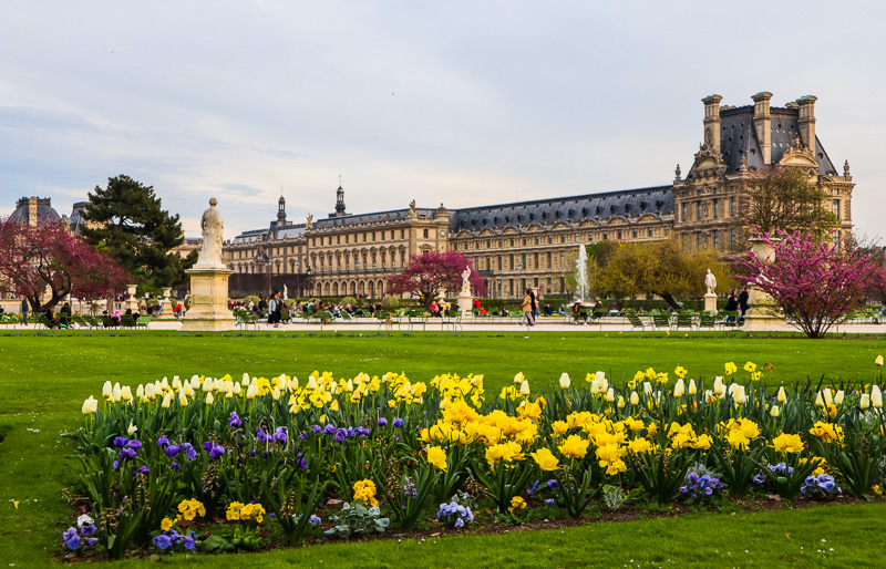 Marvelous spring Tuileries garden and background view of the Louvre Palace