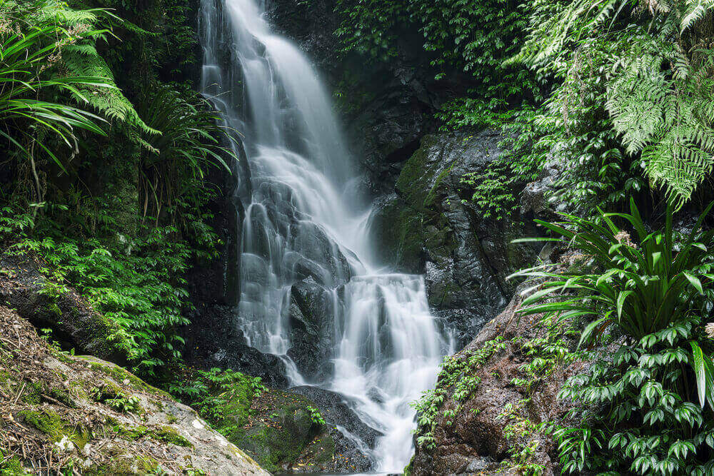 waterfall flowing over rocks framed by ferns