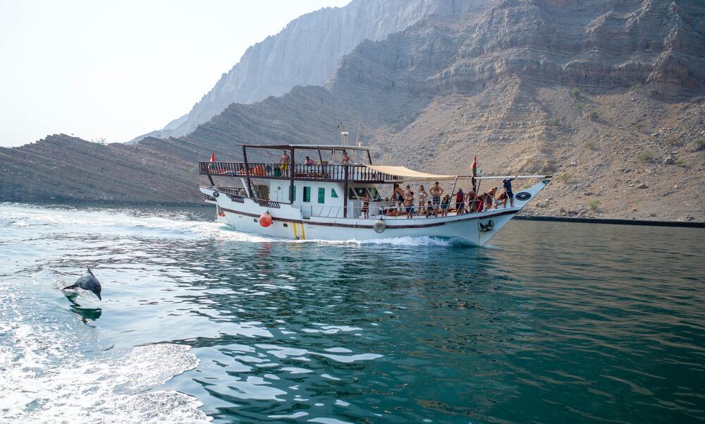 dolphin jumping out ot the water in front of boat at the Musandam Fjords