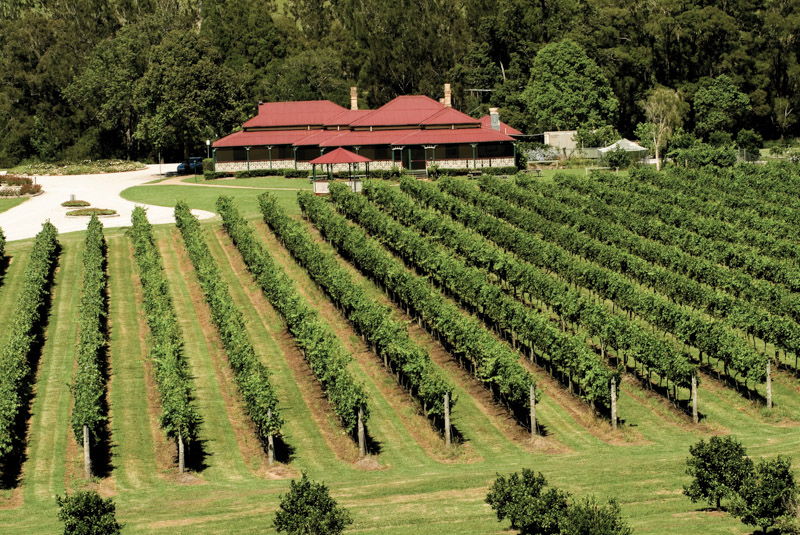 Aerial view of O'Reilly's Canungra Valley Vineyards