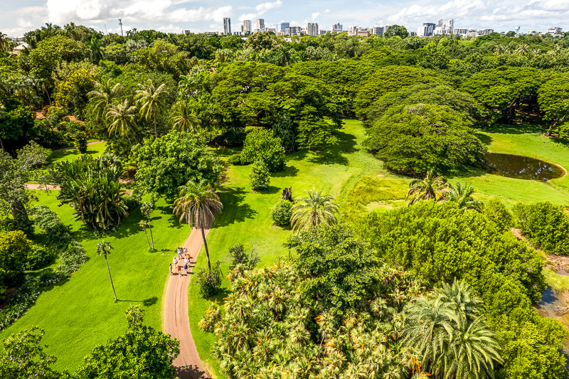 aerial view of the lush gardens of George Brown Darwin Botanic Gardens with darwin skyline in the distance