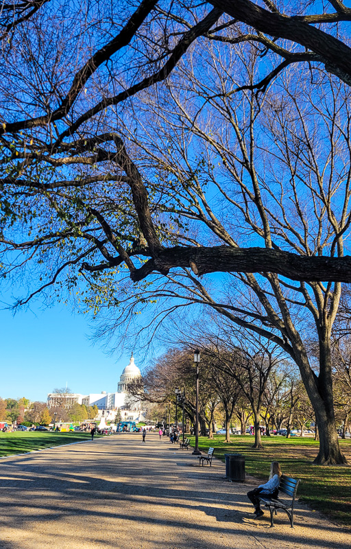 girl sitting on bench under tree in the national mall with distant views of the US Capitol
