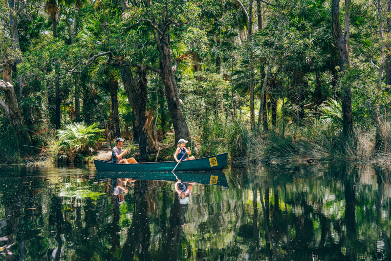 people kayaking through the everglades