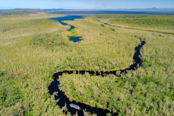 aerial view of the everglades