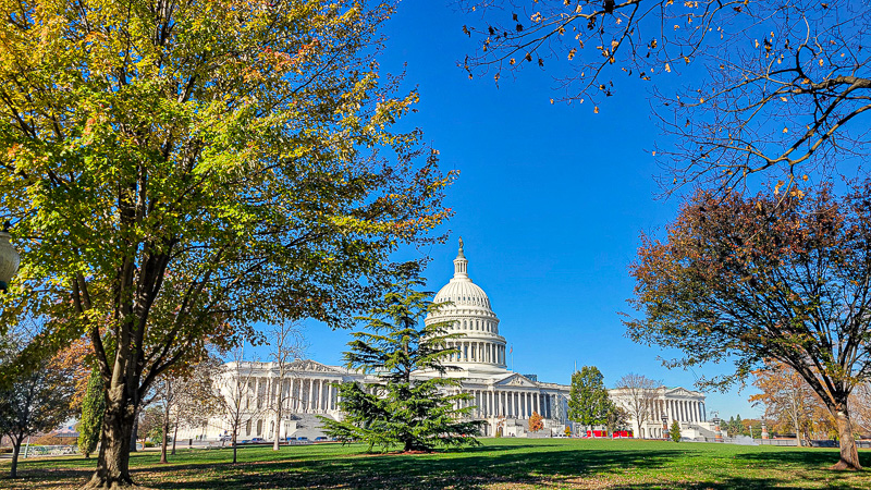 US Capitol Building WAshington DC freamed by fall trees