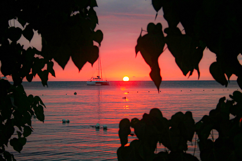 Colorful sunset from a beach in Jamaica