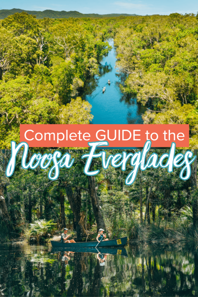 pin sharing images of noosa everglades
