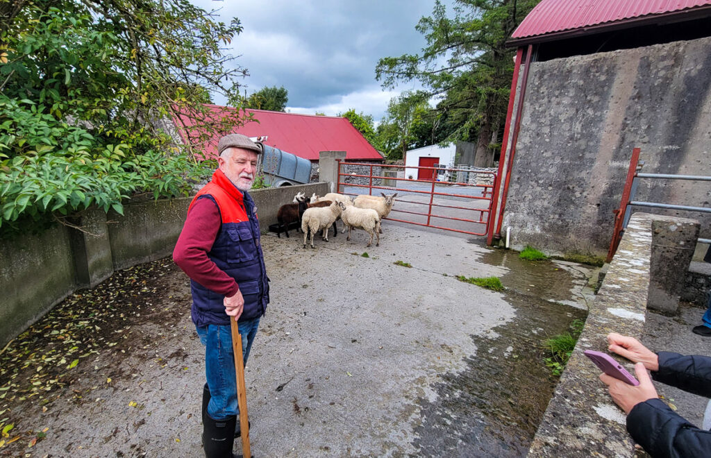 Sheep farmer in Ireland