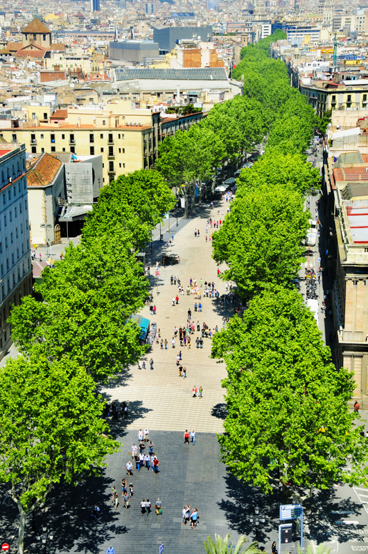 Aerial view of La Rambla of Barcelona, Spain