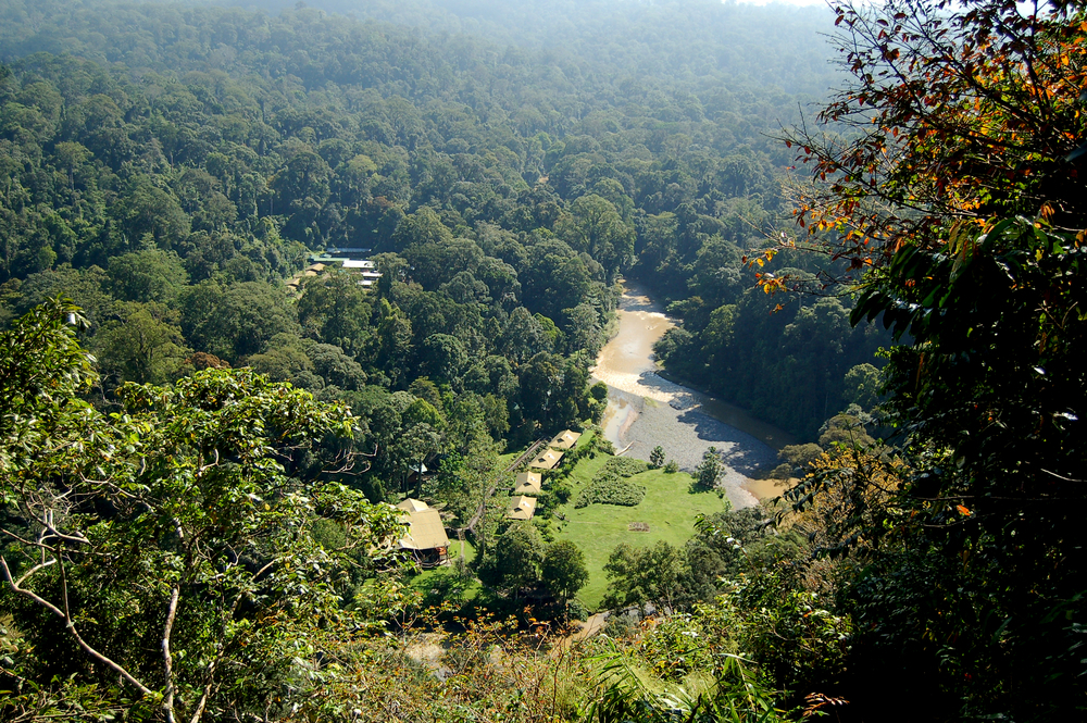 View looking down at the Danum Valley wooden jungle huts beside the Danum river, in the heart of the Sabah rainforest