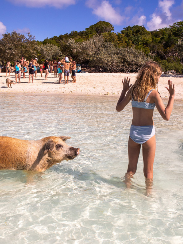 GUIDE TO THE SWIMMING WITH PIGS, EXUMA ISLANDS, BAHAMAS STORY