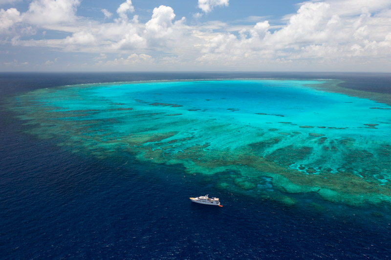 Aerial view of the Spirit of Freedom cruise on the reef.