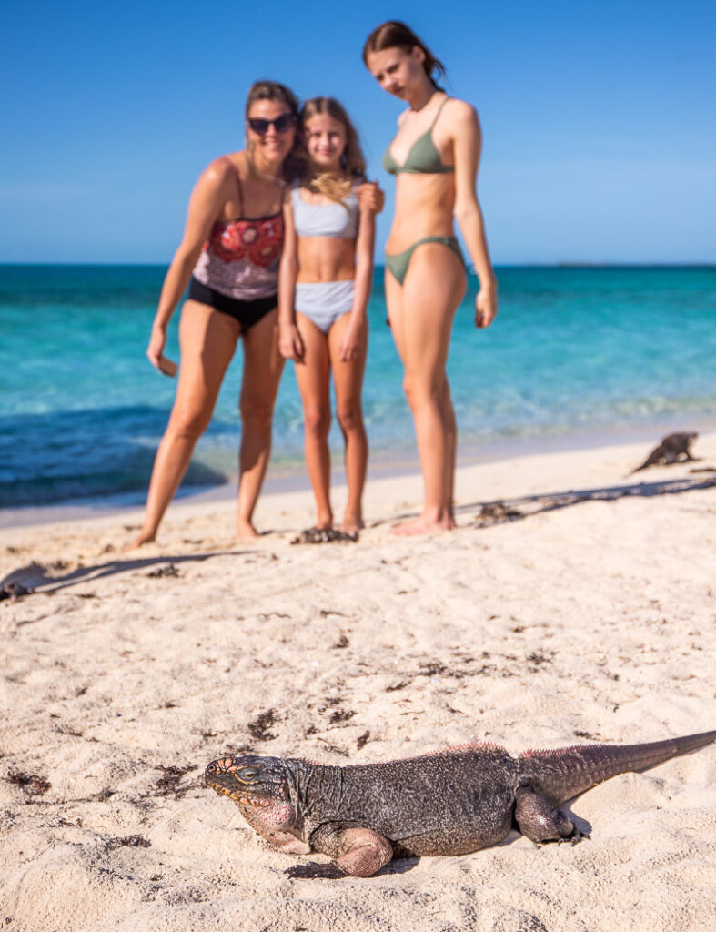 Mom and two daughters looking at an iguana on a beach