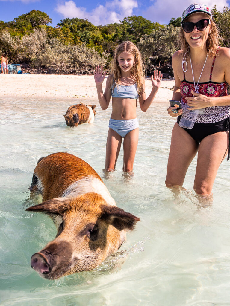 Pig at the beach with a mother and daughter looking on