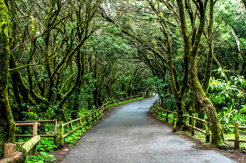 path in garanojay national park 
