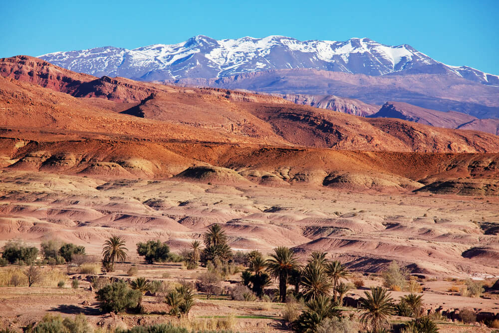 snow capped atlast mountains with the desert and palm trees in the foreground