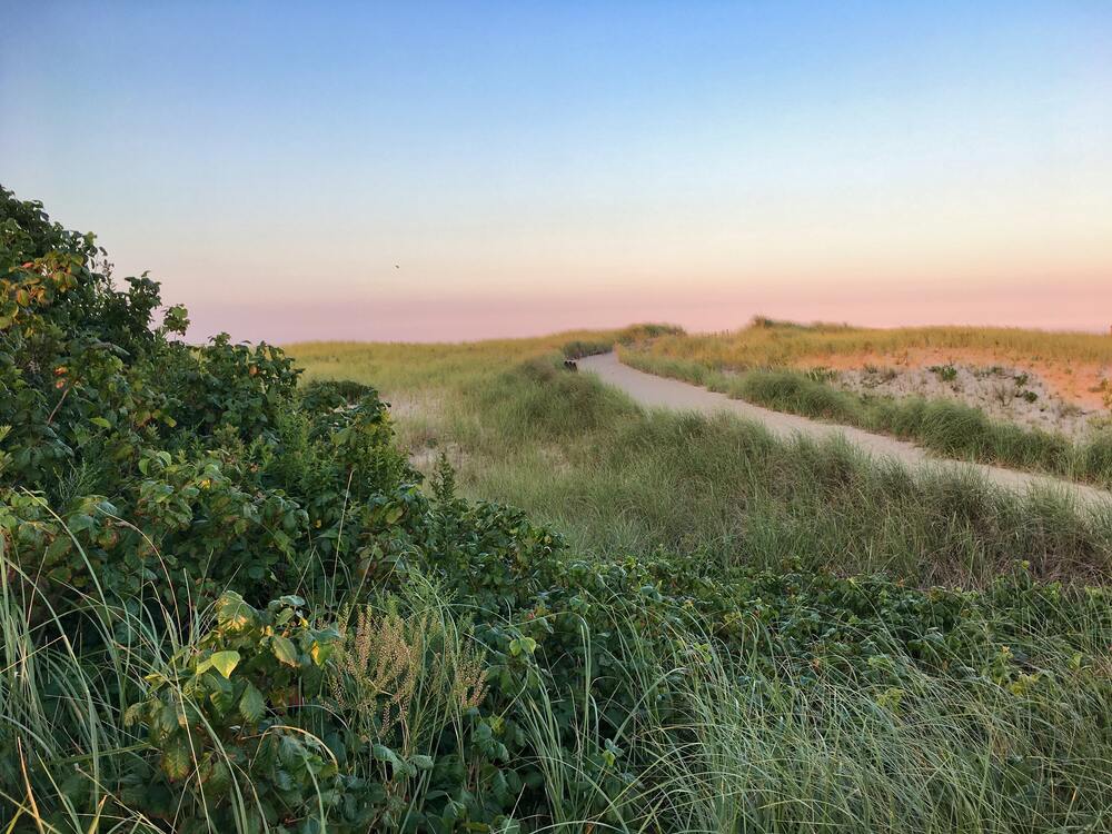 path through sand dunes with beautiful sunset