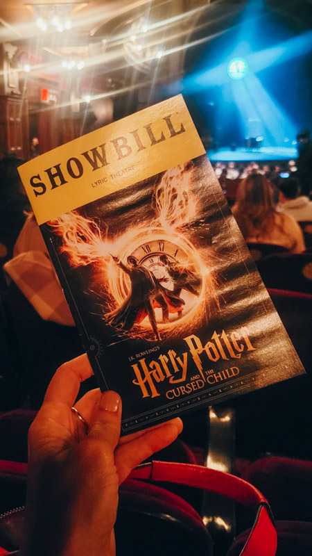 person holding harry potter and cursed child playbook in theater