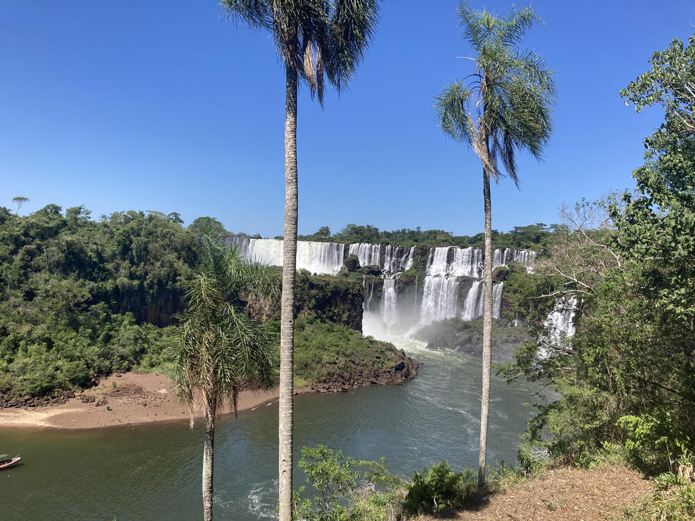 wide view of iguazu falls with palm trees in front