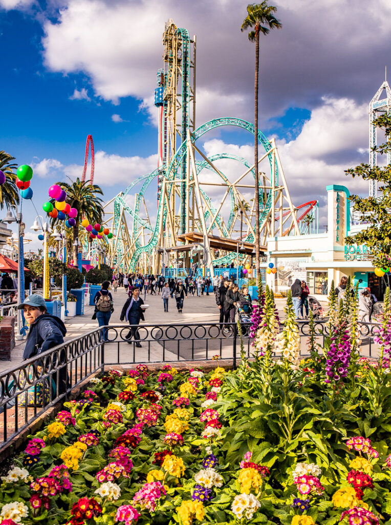 Bed of flowers in the foreground, and a rollercoaster in the background with people walking through the park