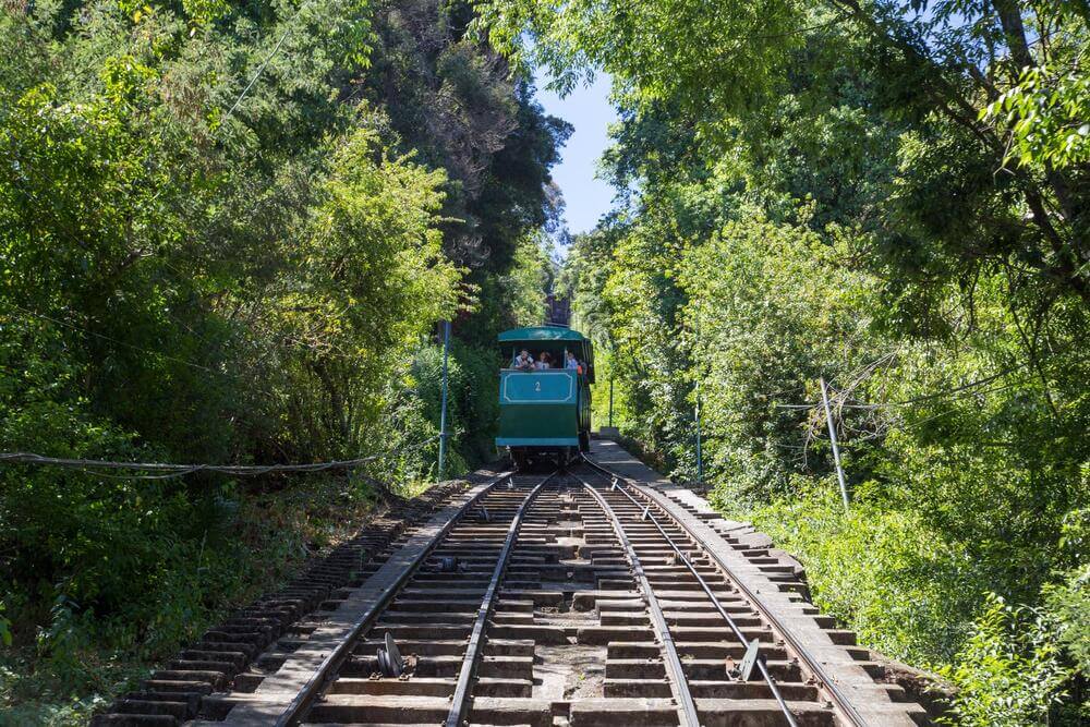 green funicular going up hill in forest