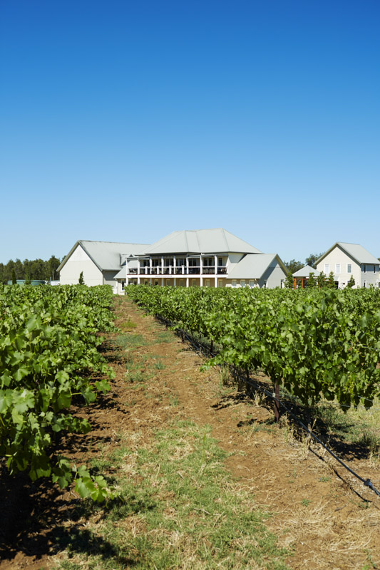 Scenic view of Keith Tulloch Wines, Pokolbin