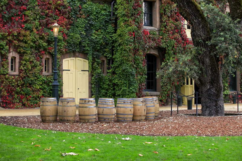 wine barrels out front of a vine covered building
