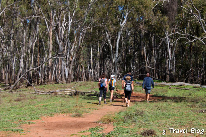 people hiking river red gum forest