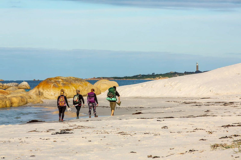 guests walk the final stretch to larapuna (Bay of Fires)