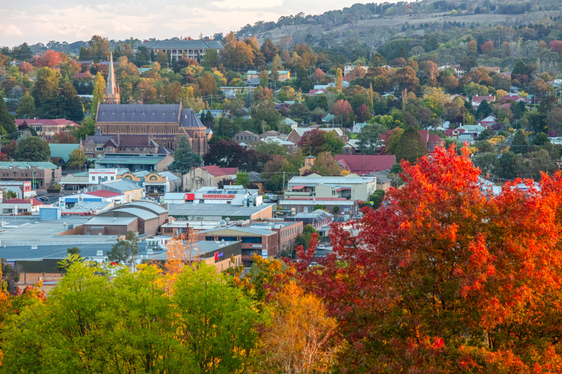 Autumn colours in the city of Armidale.