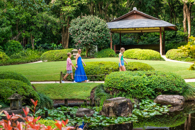 Family walking through the Brisbane Botanic Gardens, located at the base of Mount Coot-Tha