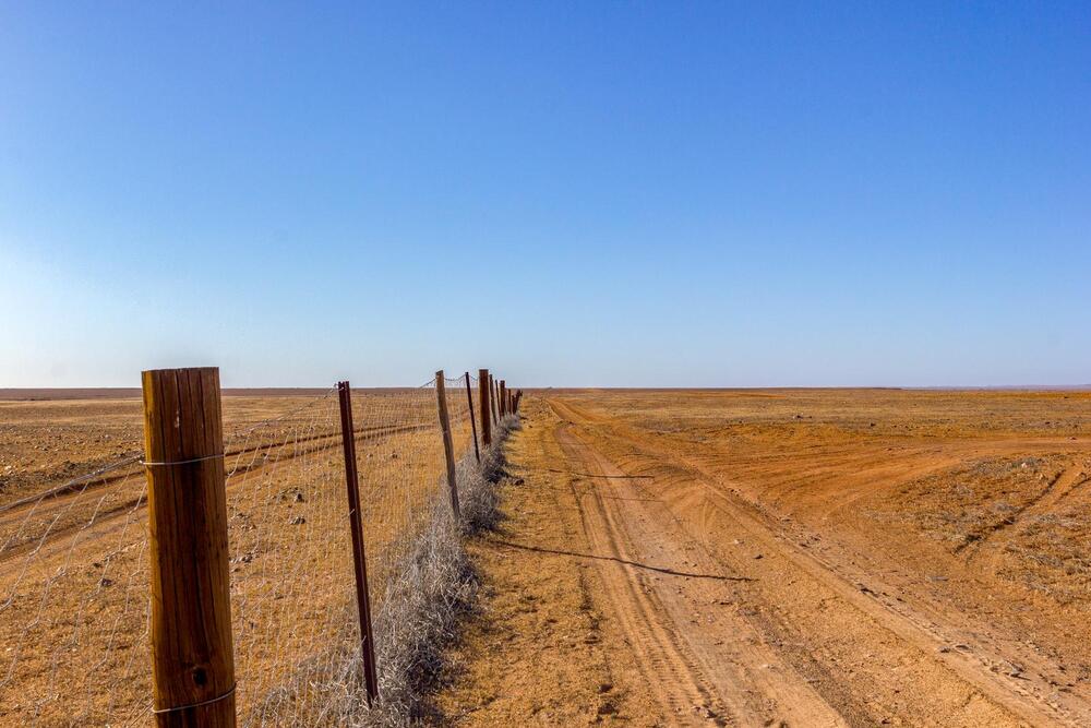 dingo fence, 5300 km long fence to protect pastures for sheeps and cattles