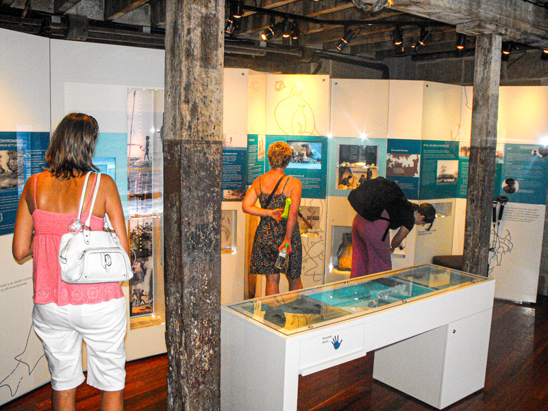 people looking at displays in the dicovery rocks center
