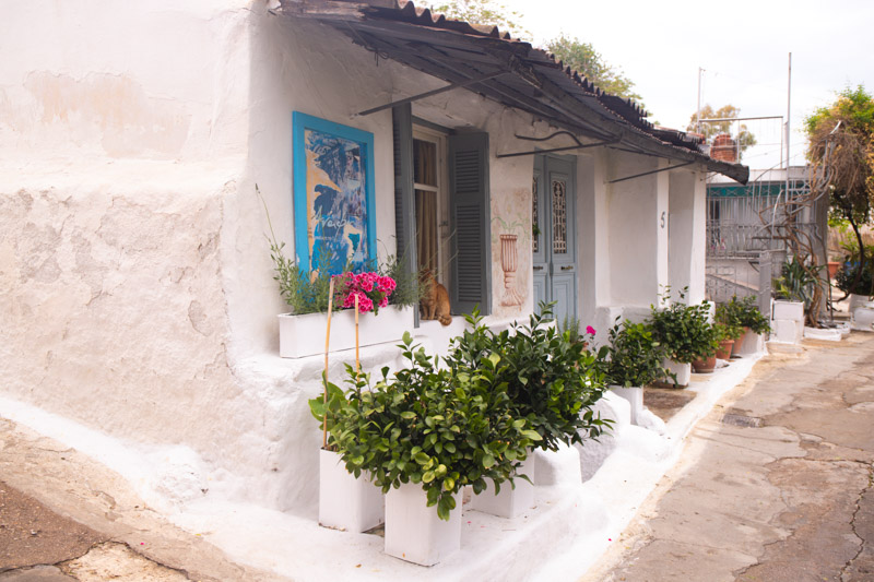 white walled home with flowers in front