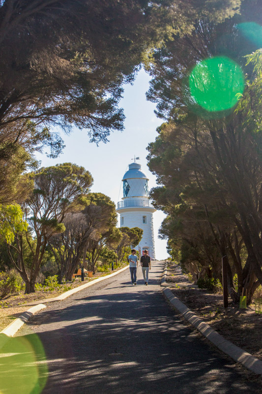 hikers on path with Cape Naturaliste Lighthouse in the background