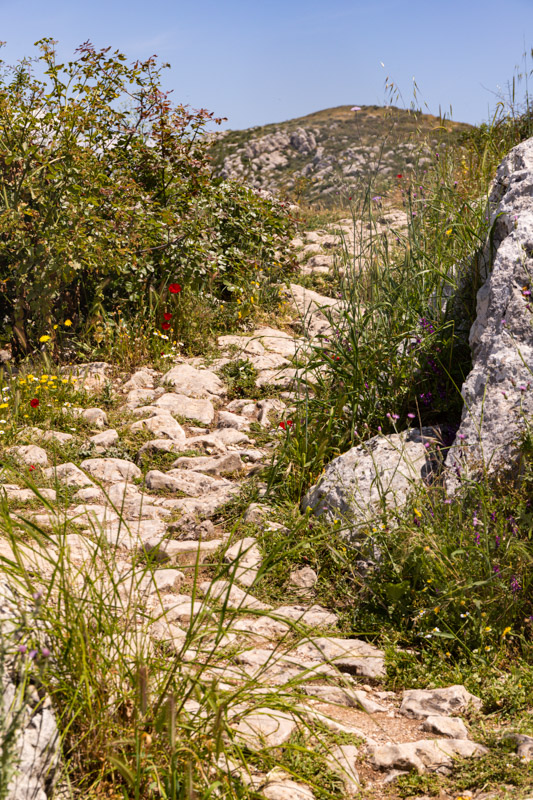 rocky path up the mountain