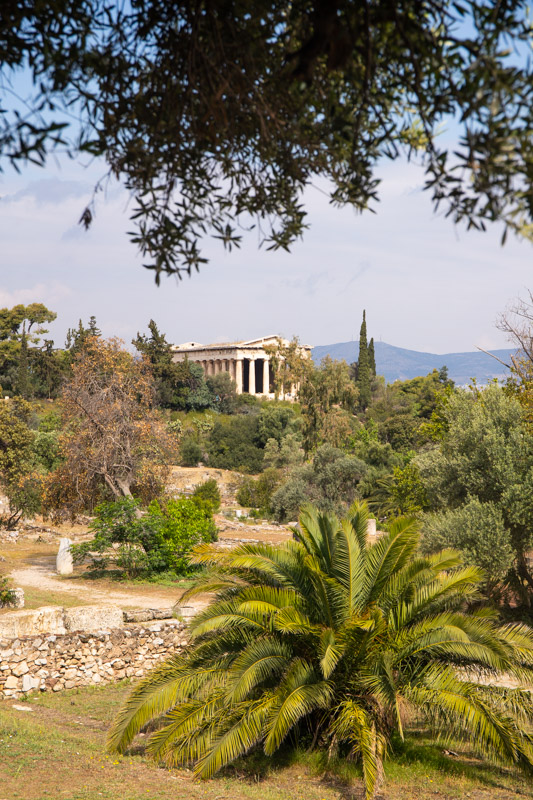 view of  Temple of Hephaestus through the trees