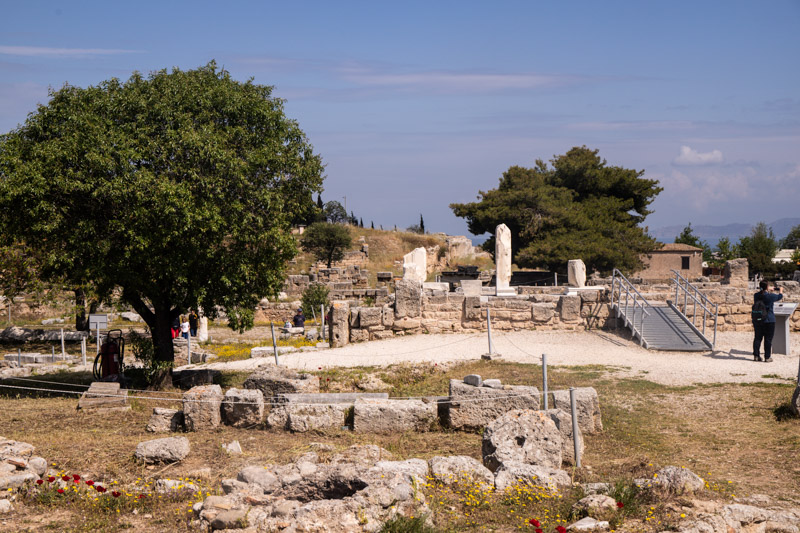 trees and ruins along Lechaion Road in ancient corinth