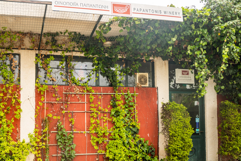 exterior of Papantonis wine tasting room covered in vines