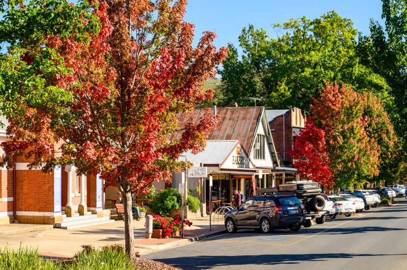 street in bright town with shops and red trees