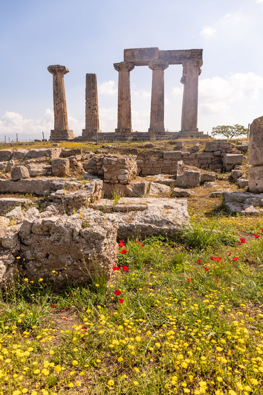 temple of apollo with wildflowers in front