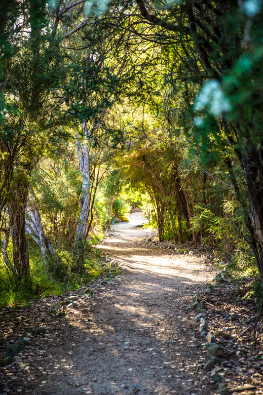 Trail along Ovens River