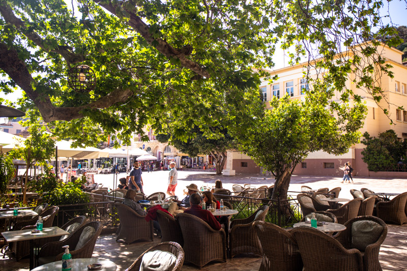 tree covering tables on syntagma square