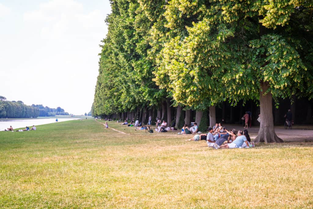 people having picnics under trees