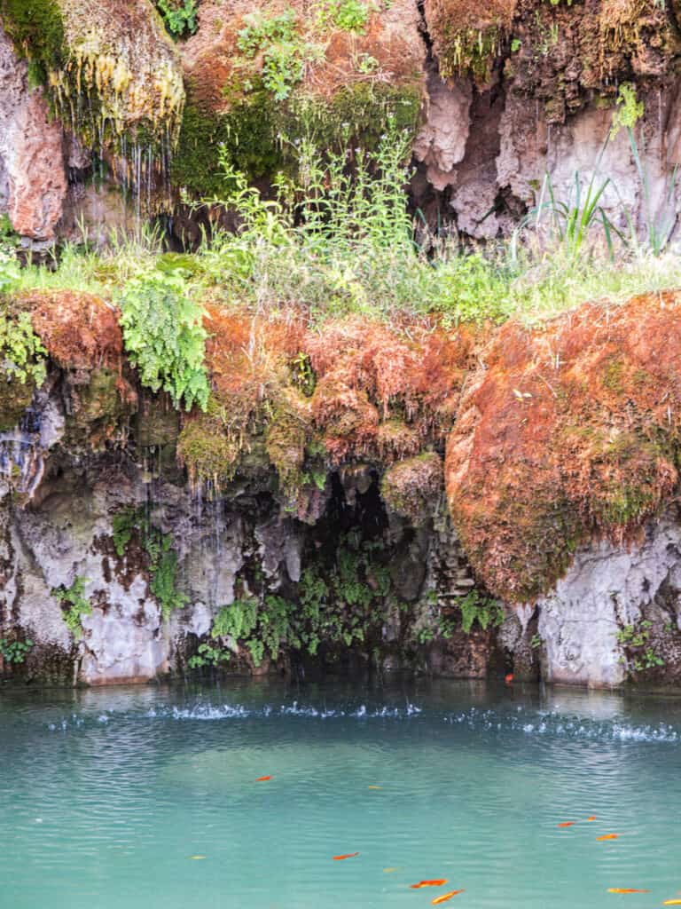 turquoise water in pool with water dripping down mossy cliff face Farnese Gardens