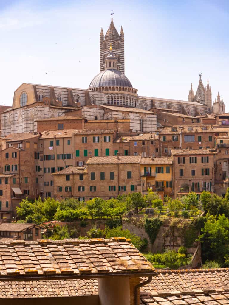 Church and medieval buildings on a hill in siena
