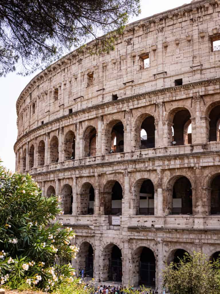 exterior of colosseum framed by trees