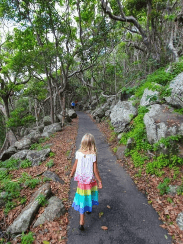 10 MESMERIZING WALKS YOU SHOULD NOT MISS ON THE GOLD COAST STORY