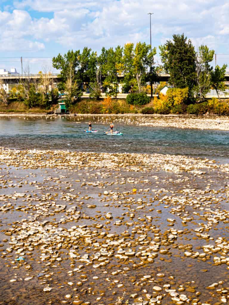 people paddling on bow river