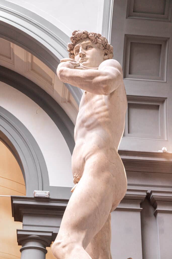 side profile of statue of david
